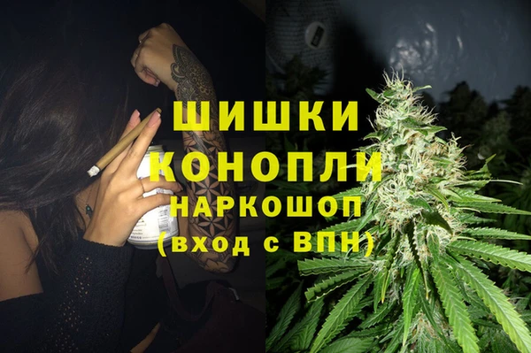 сатива Беломорск