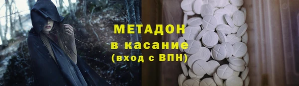 сатива Беломорск