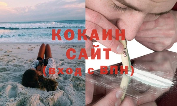 сатива Беломорск