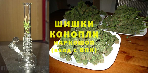 сатива Беломорск