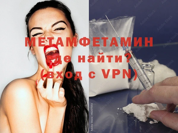 сатива Беломорск