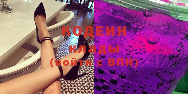 сатива Беломорск