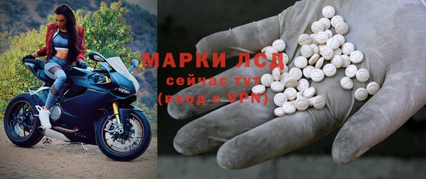 сатива Беломорск